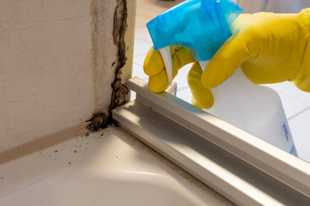Best Mold Testing and Inspection Services in Newton, KS