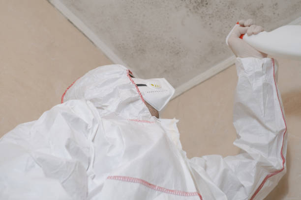 Newton, KS Mold Remediation Company