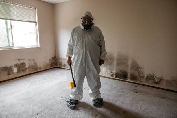 Best Residential Mold Remediation in Newton, KS